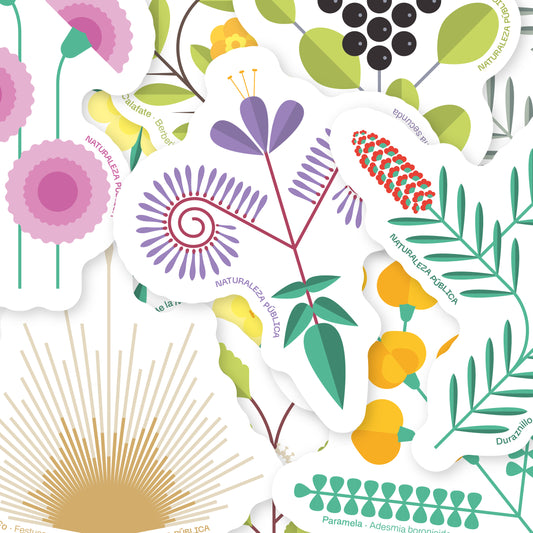 Set 10 Stickers Flora Nativa