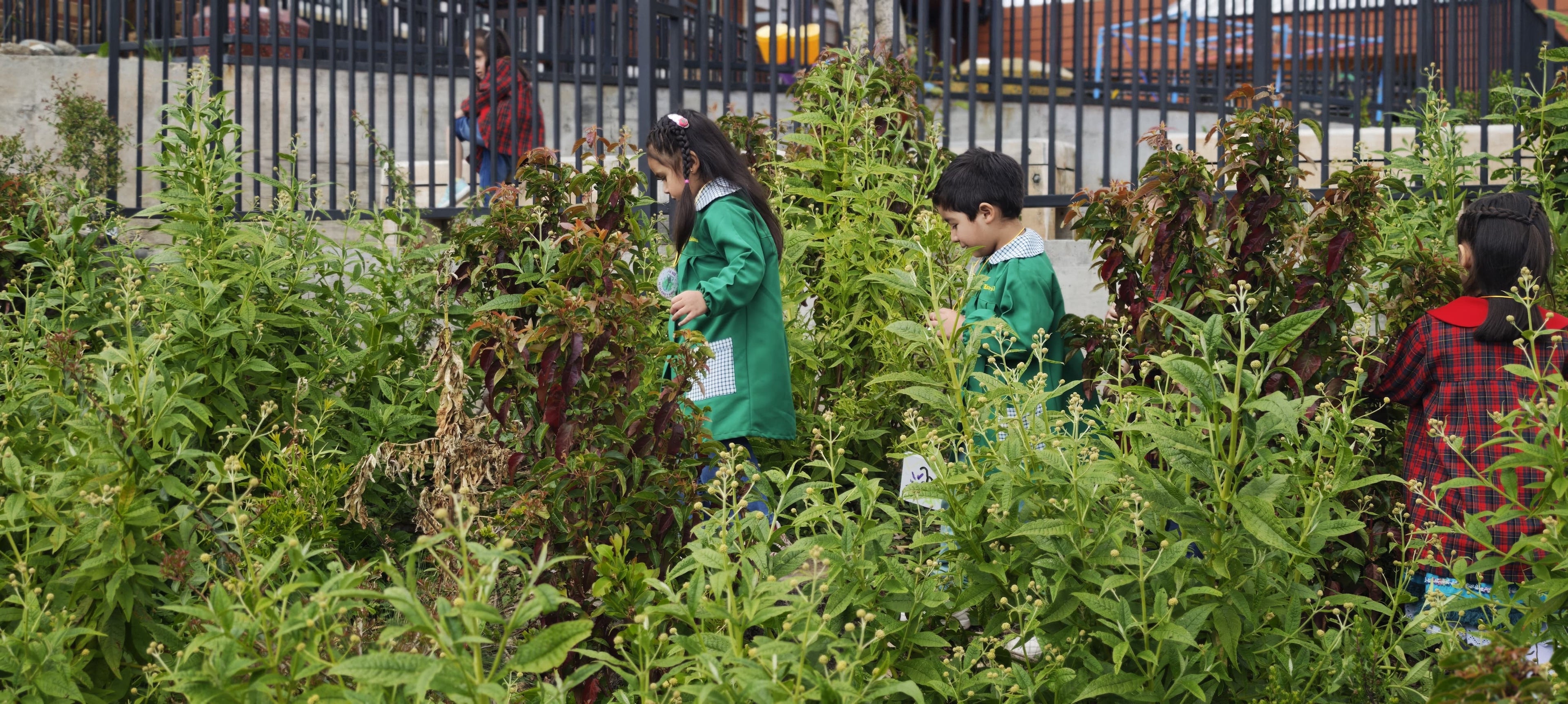 Bosque Miyawaki Jardín Infantil Gabriela Mistral