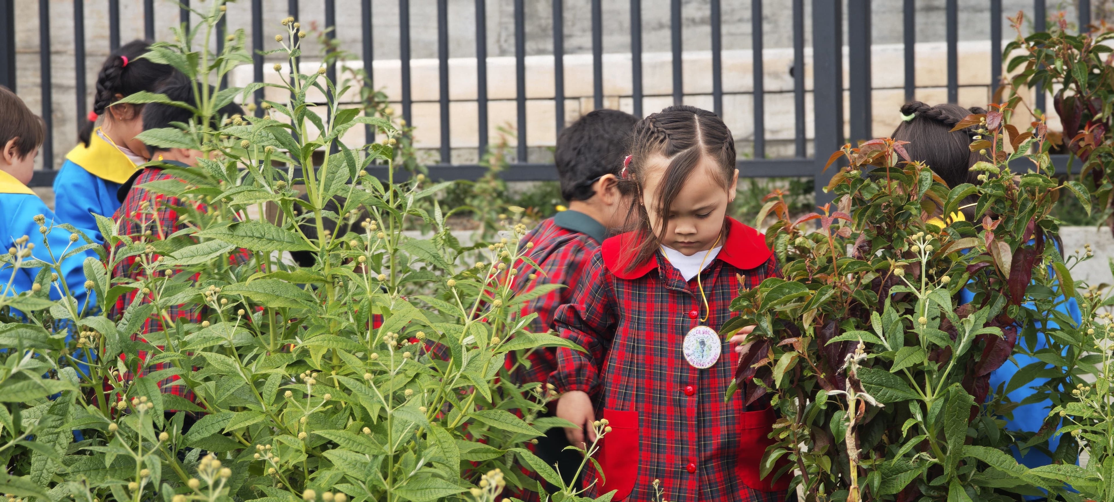Bosque Miyawaki Jardín Infantil Gabriela Mistral