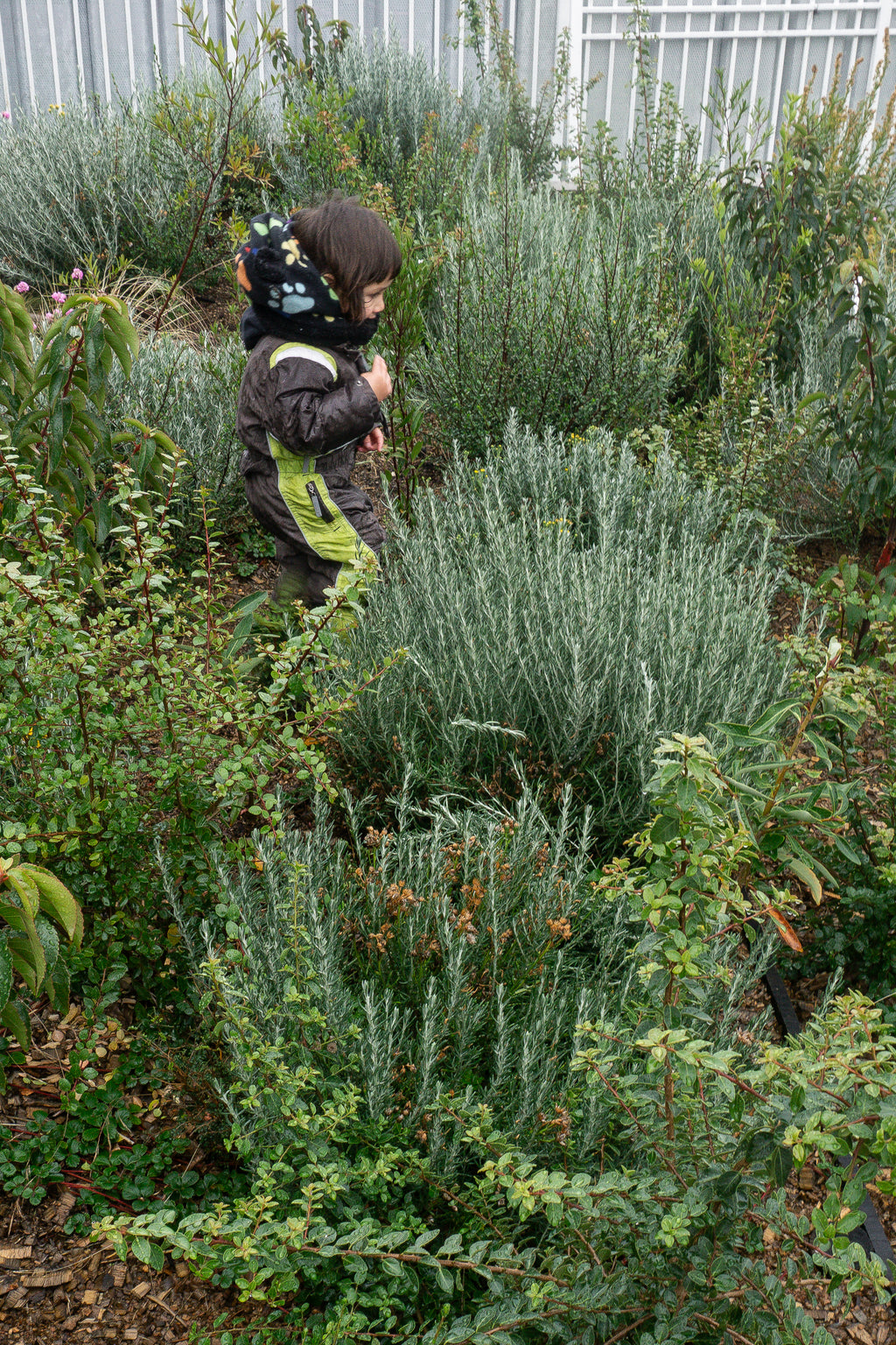Bosque Miyawaki Jardín Infantil Gabriela Mistral