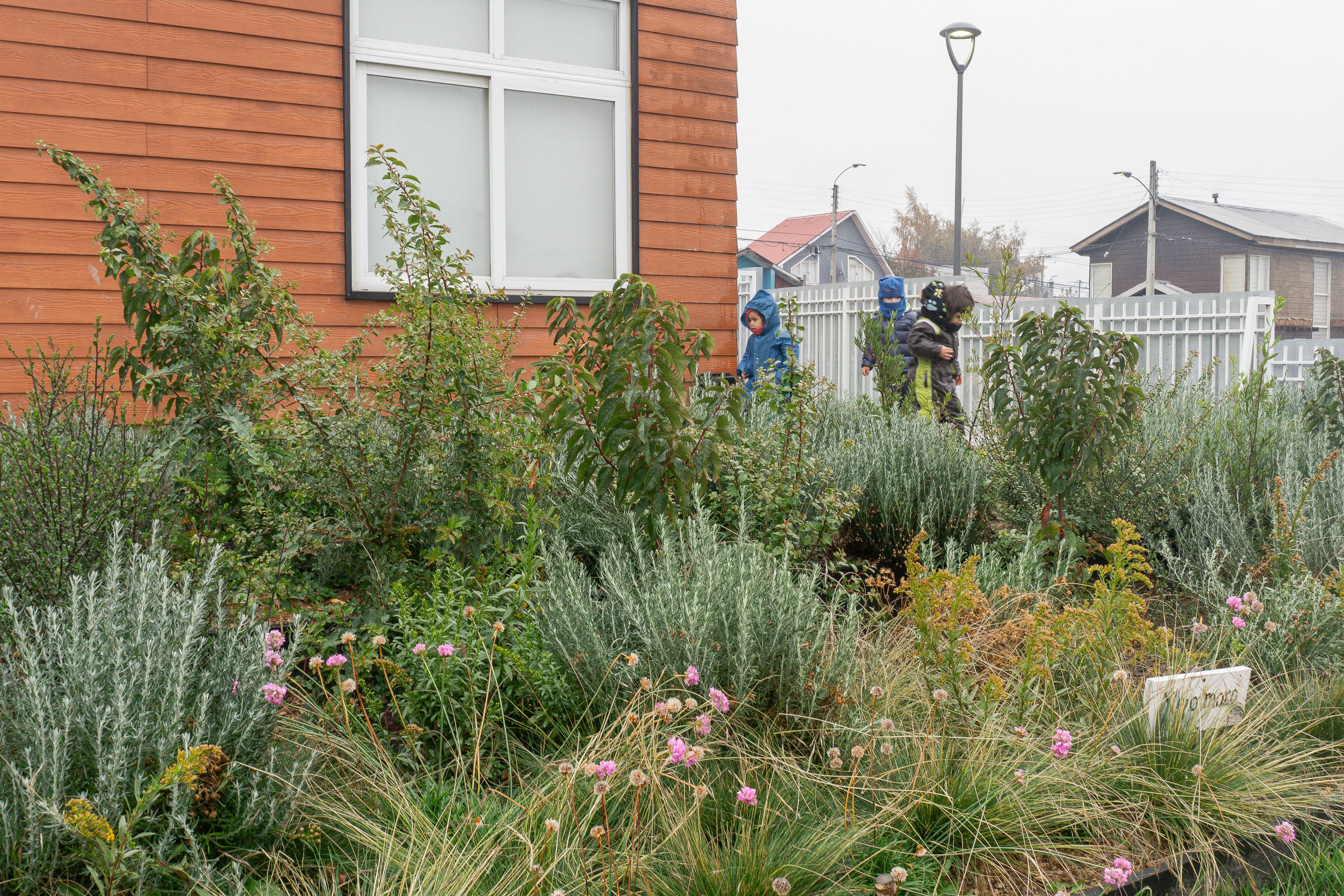 Bosque Miyawaki Jardín Infantil Gabriela Mistral