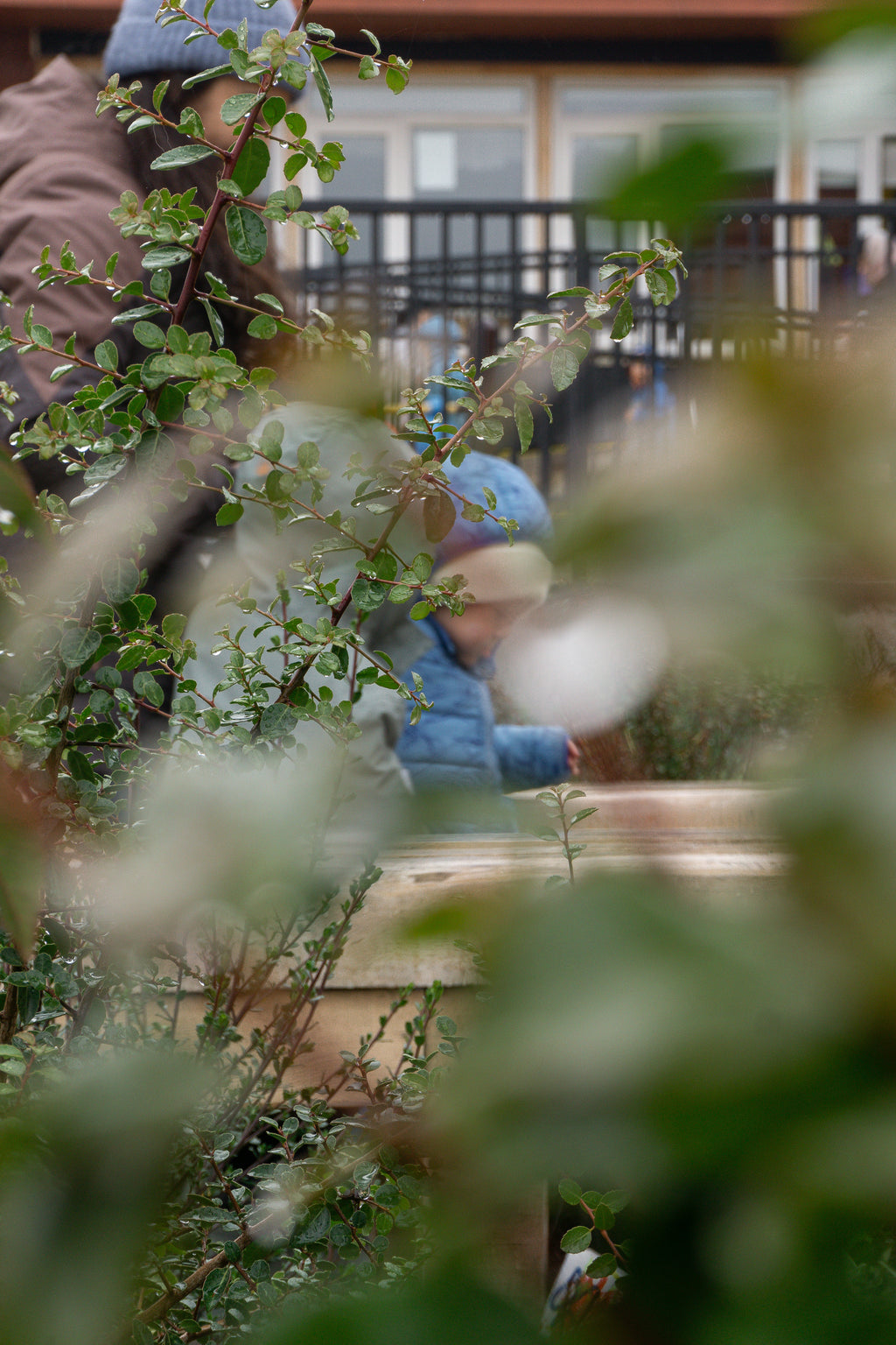 Bosque Miyawaki Jardín Infantil Gabriela Mistral
