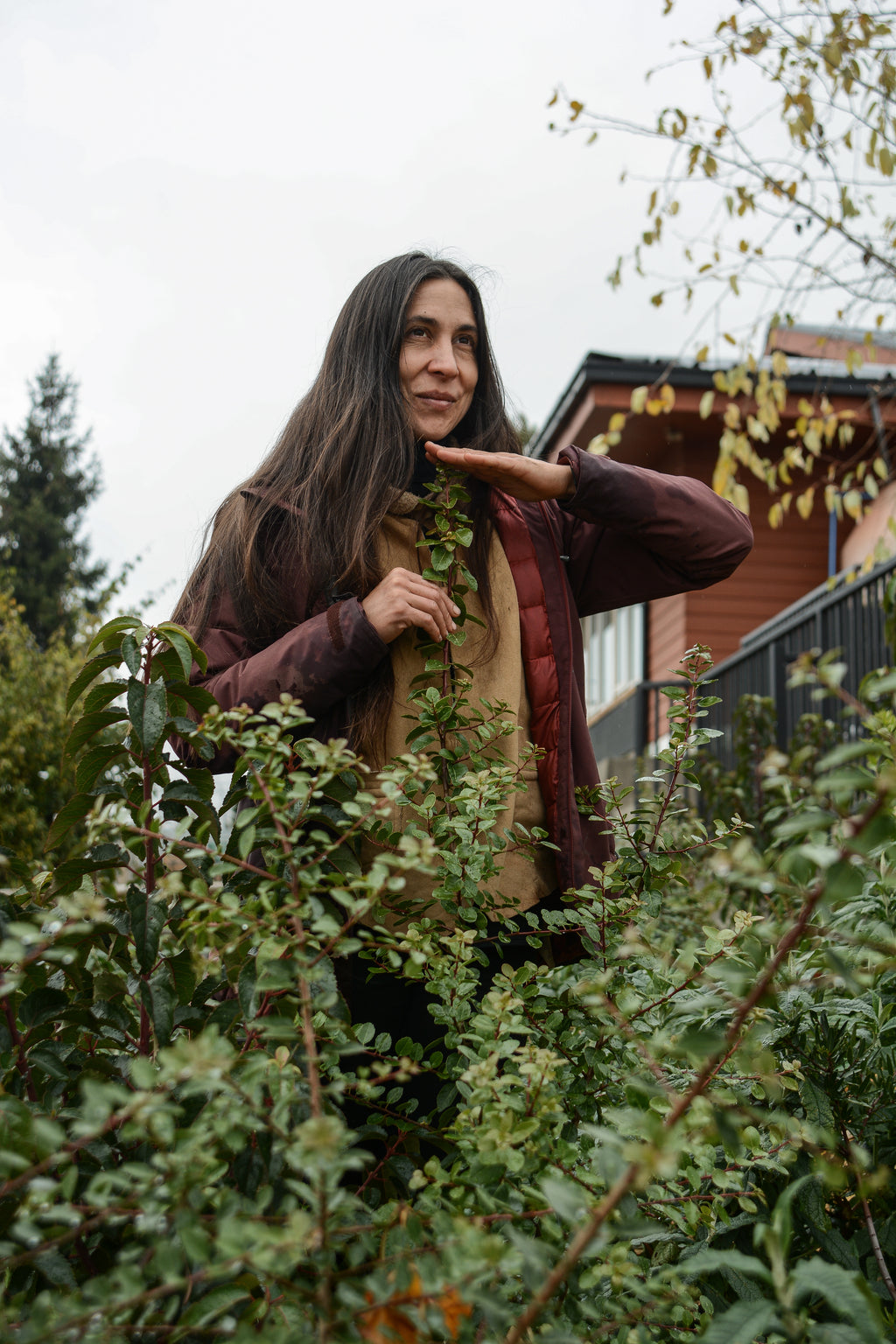 Bosque Miyawaki Jardín Infantil Gabriela Mistral