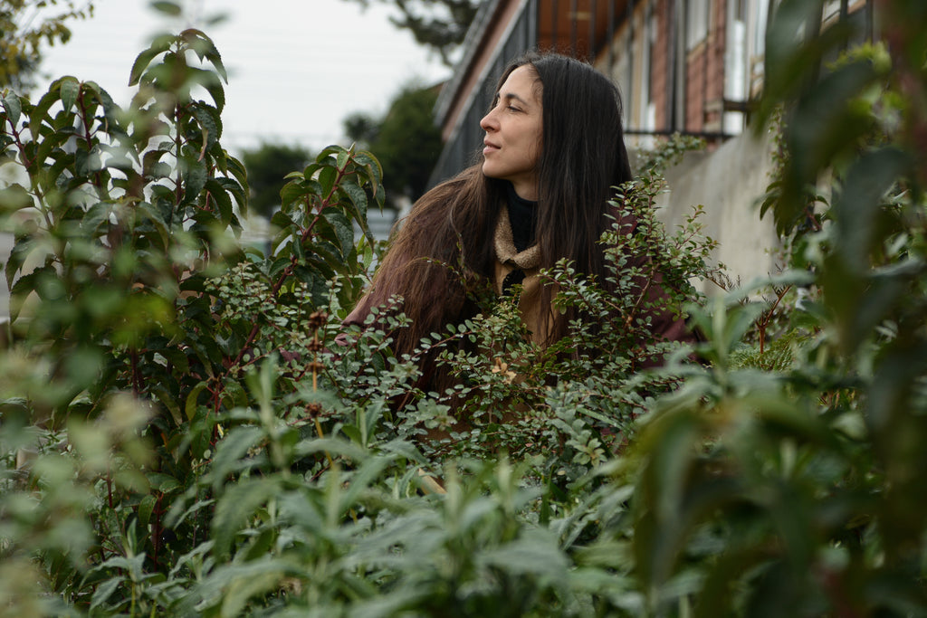 Bosque Miyawaki Jardín Infantil Gabriela Mistral