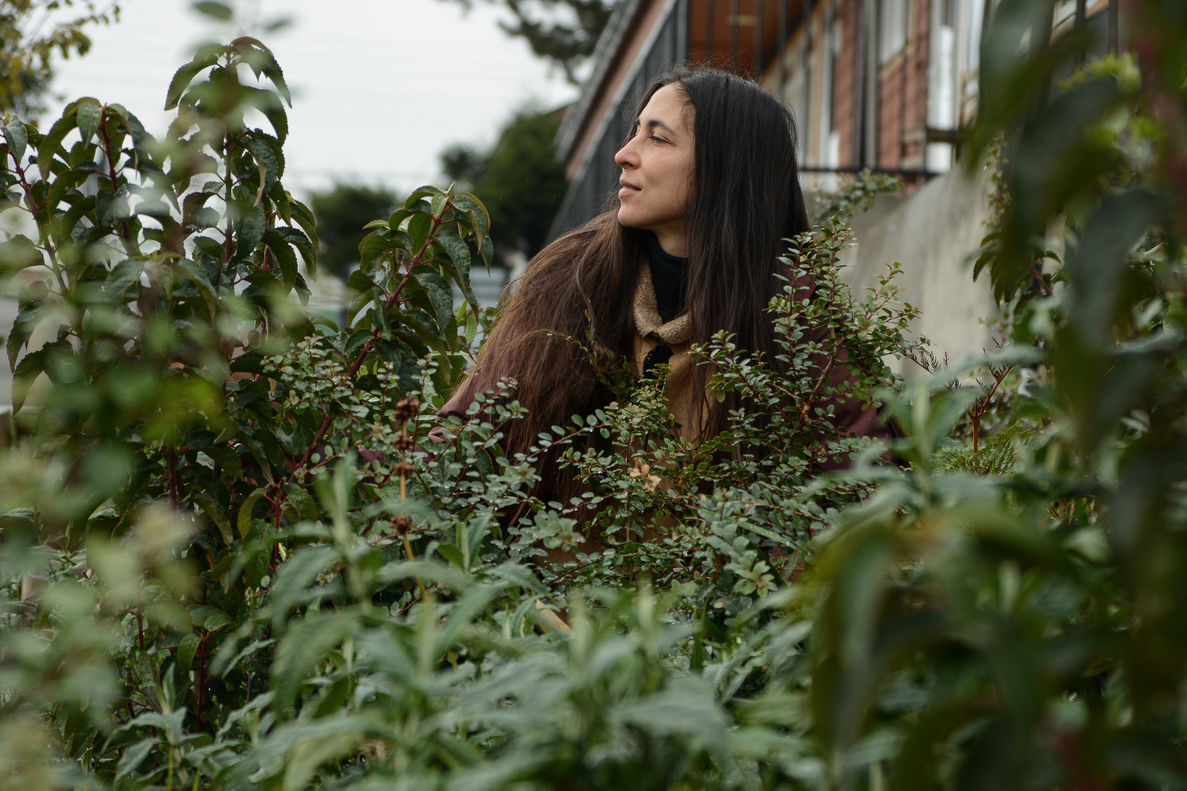Bosque Miyawaki Jardín Infantil Gabriela Mistral