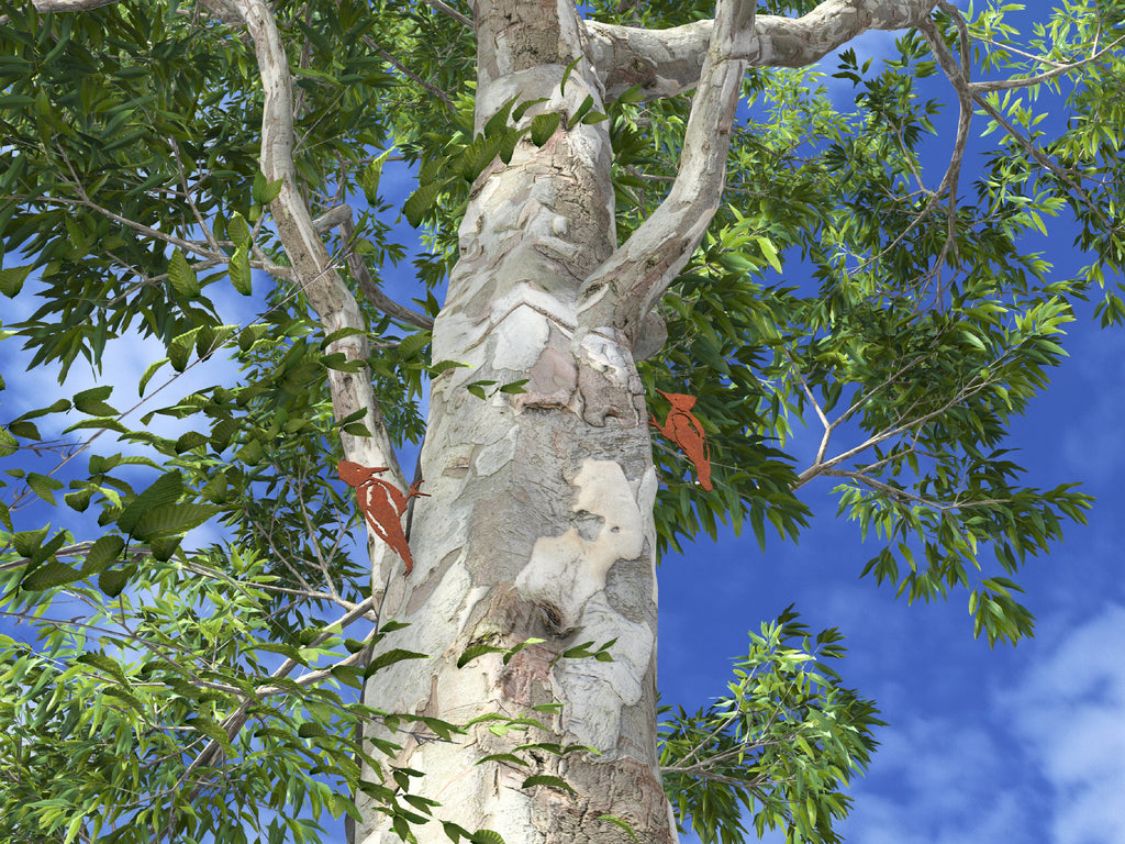 Hitos de Bienvenida Chaitén Comunidad Portal