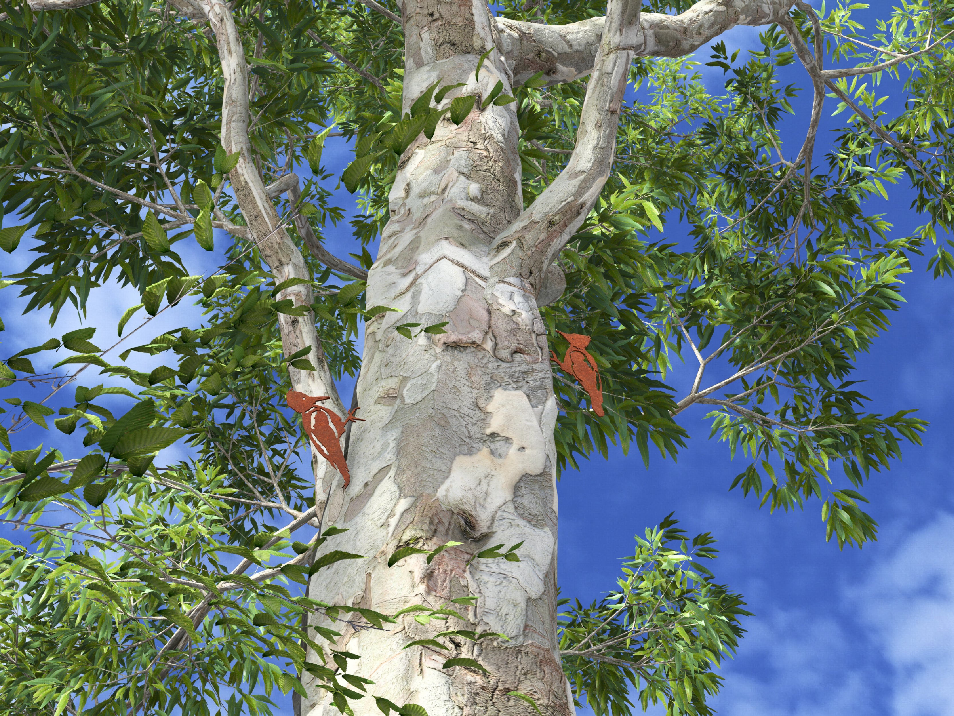 Hitos de Bienvenida Chaitén Comunidad Portal