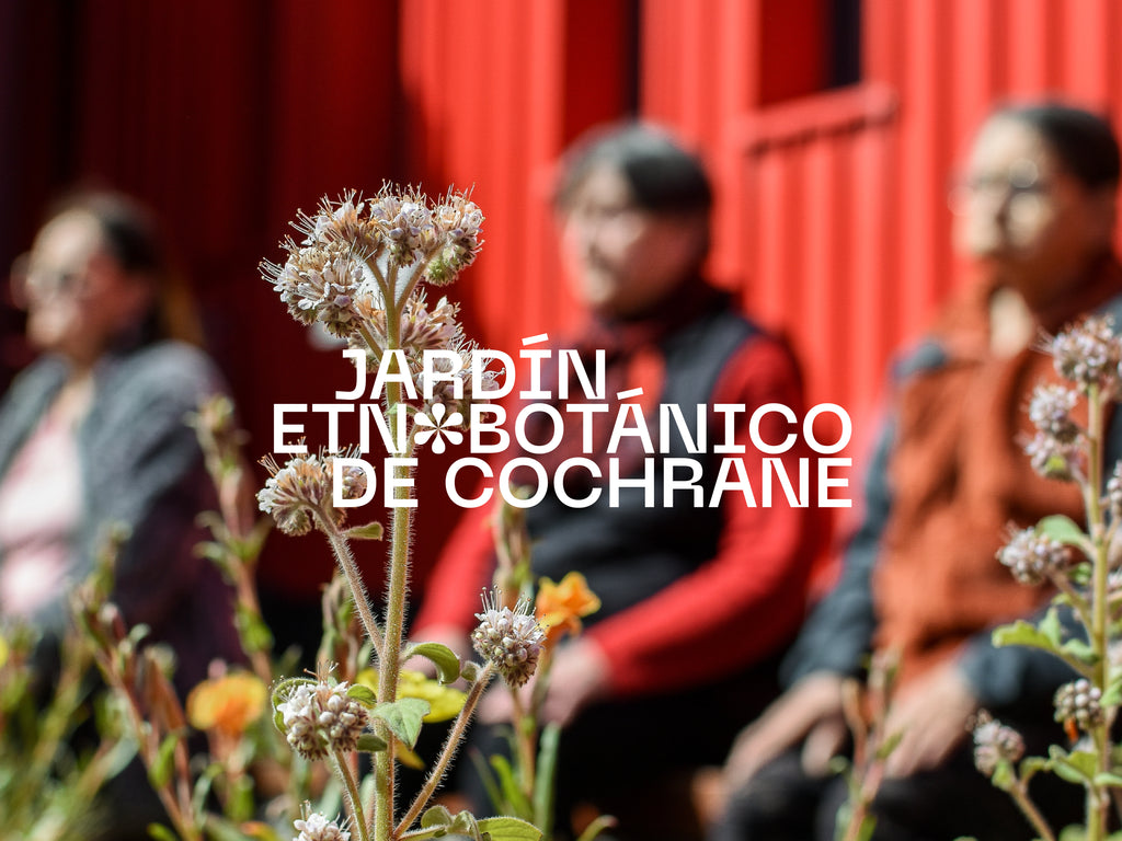 Jardín Etnobotánico de Cochrane