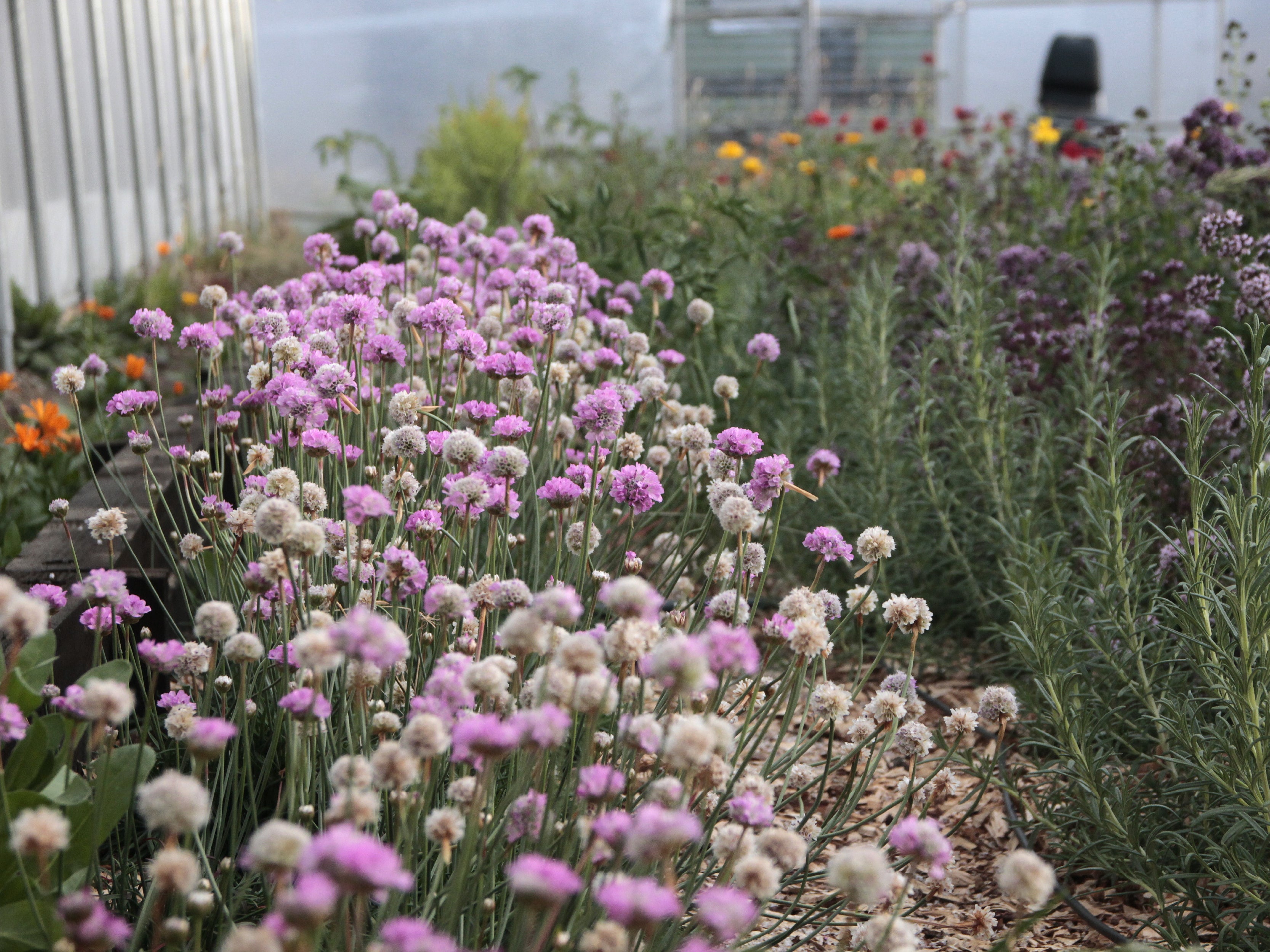 Jardín de Madres en Villa O'higgins