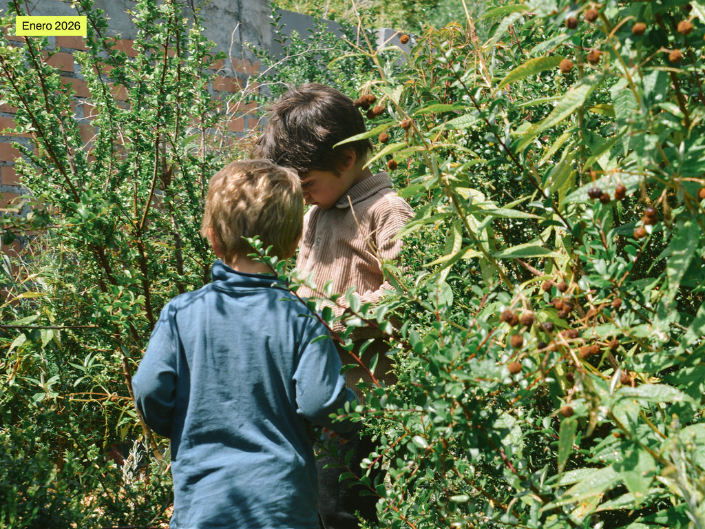 Bosque Miyawaki Jardín Infantil El Paraíso