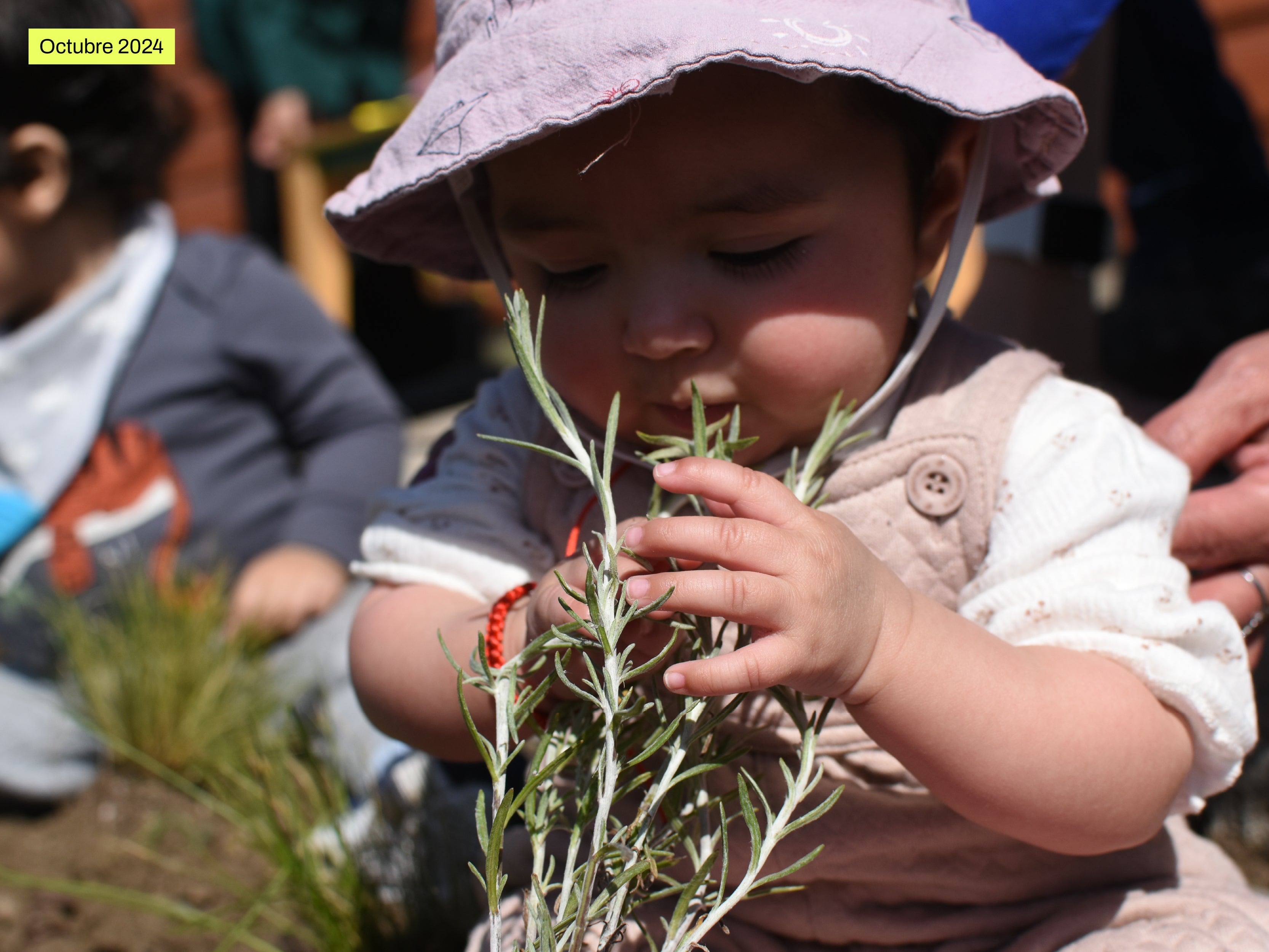 Bosque Miyawaki Jardín Infantil Gabriela Mistral