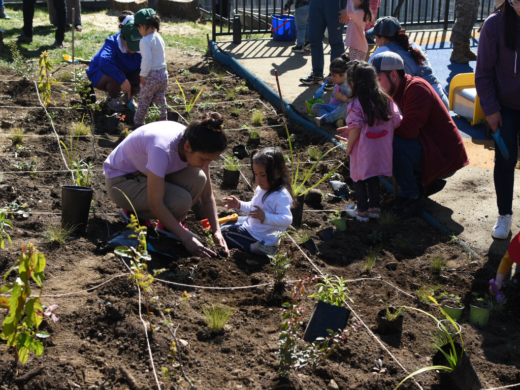 Bosque Miyawaki Jardín Infantil Gabriela Mistral
