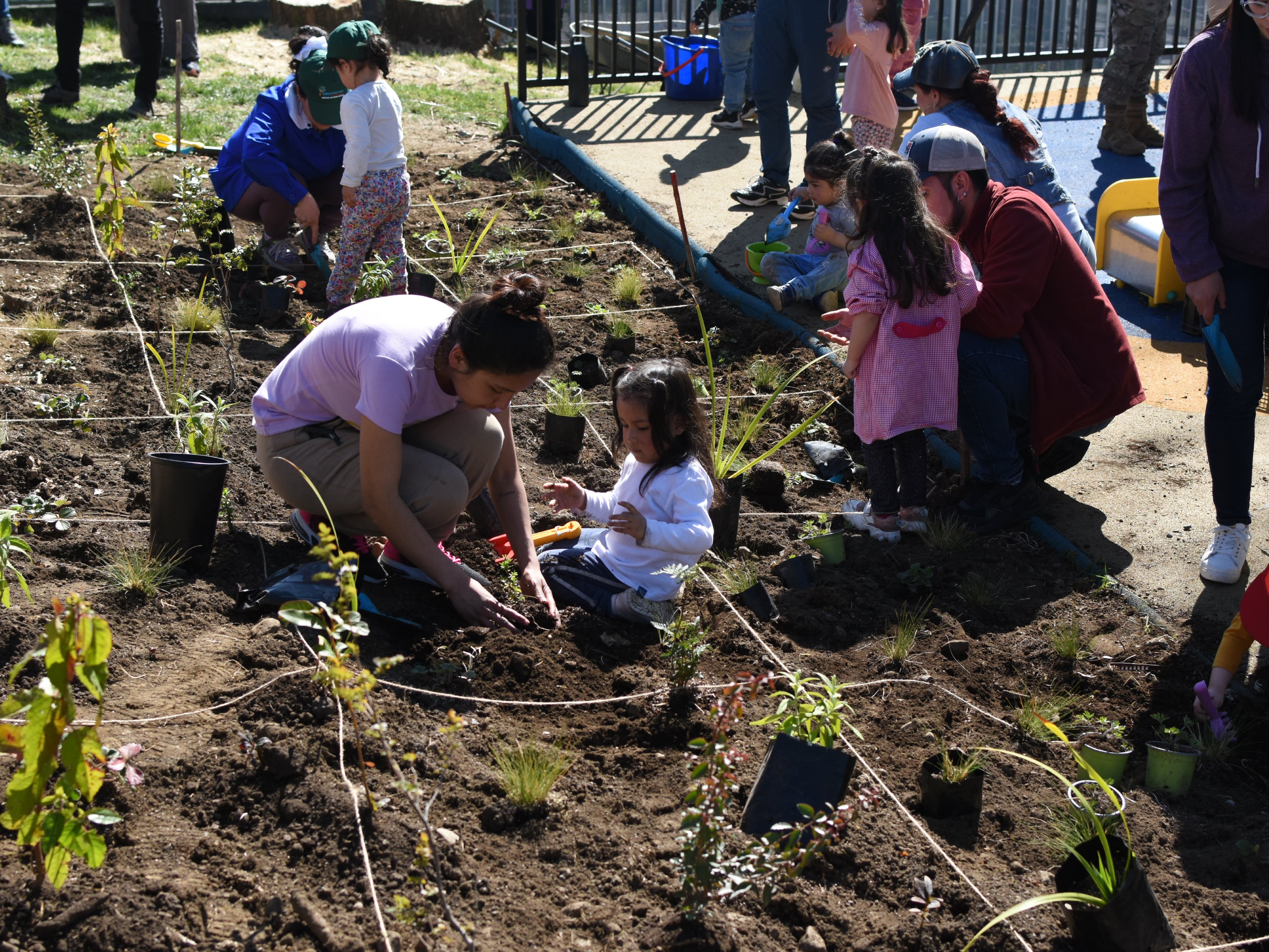 Bosque Miyawaki Jardín Infantil Gabriela Mistral