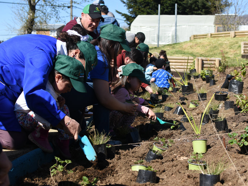 Bosque Miyawaki Jardín Infantil Gabriela Mistral