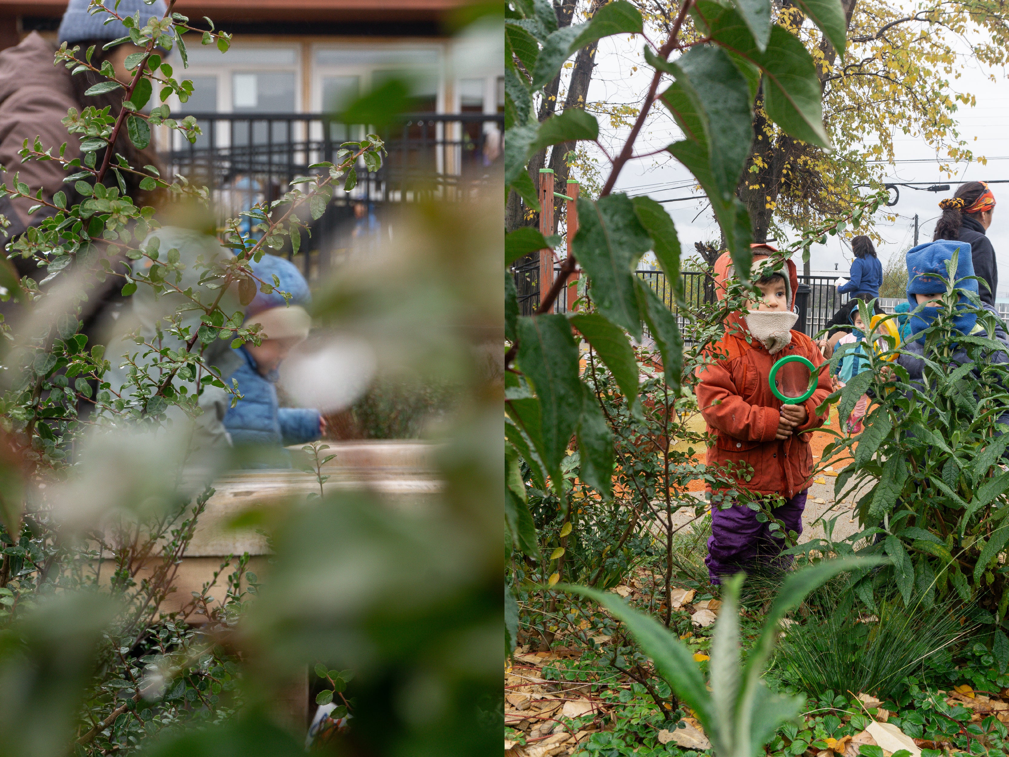 Bosque Miyawaki Jardín Infantil Gabriela Mistral