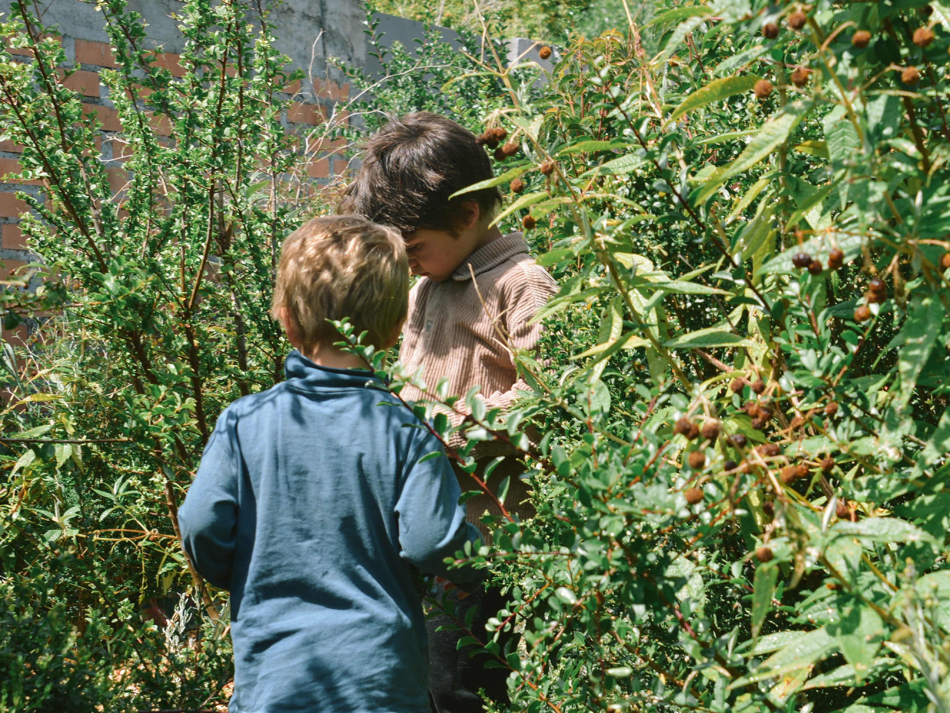 Bosque Miyawaki Jardín Infantil El Paraíso
