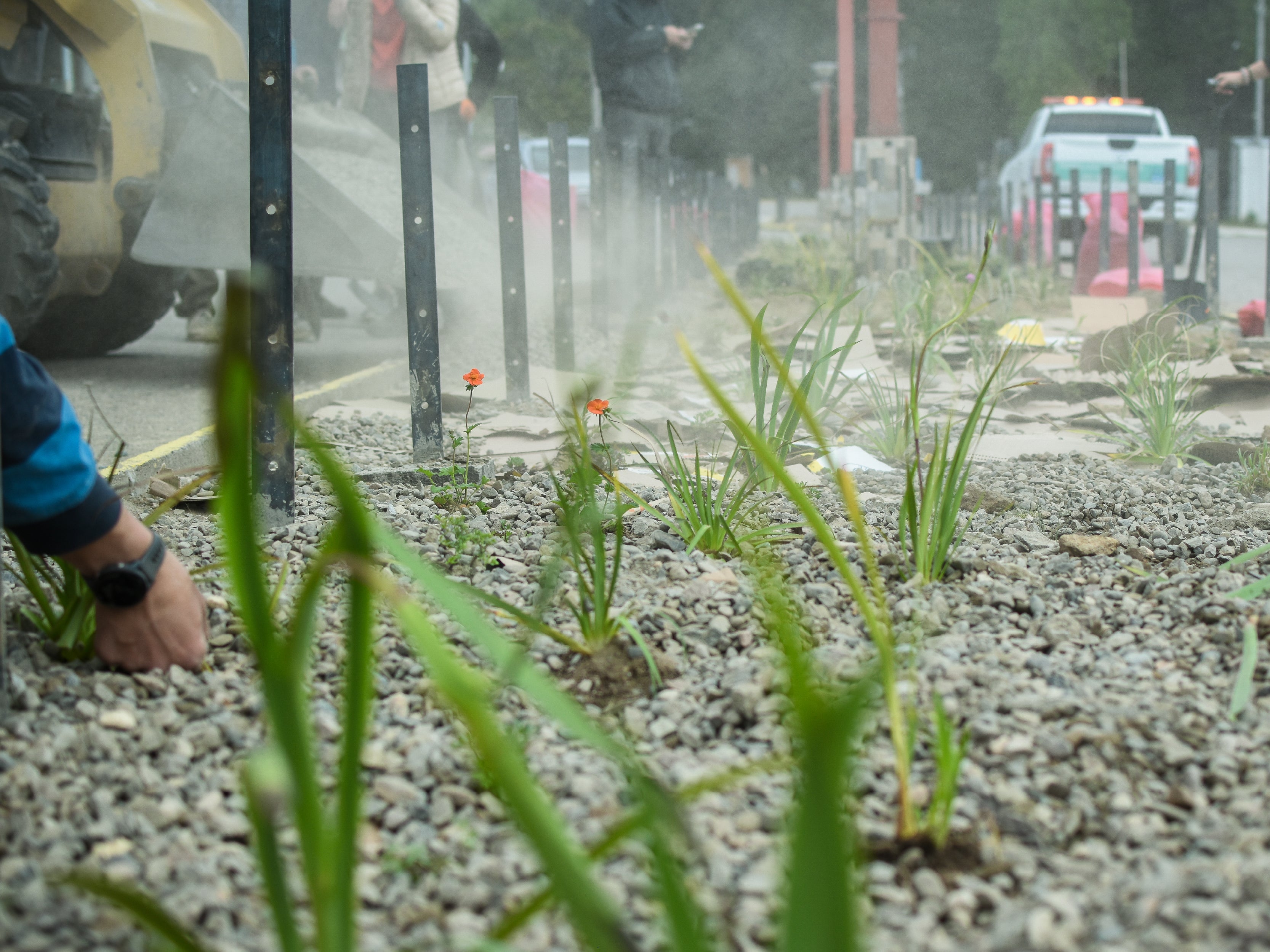 De Bandejón Urbano a Conector Ecológico