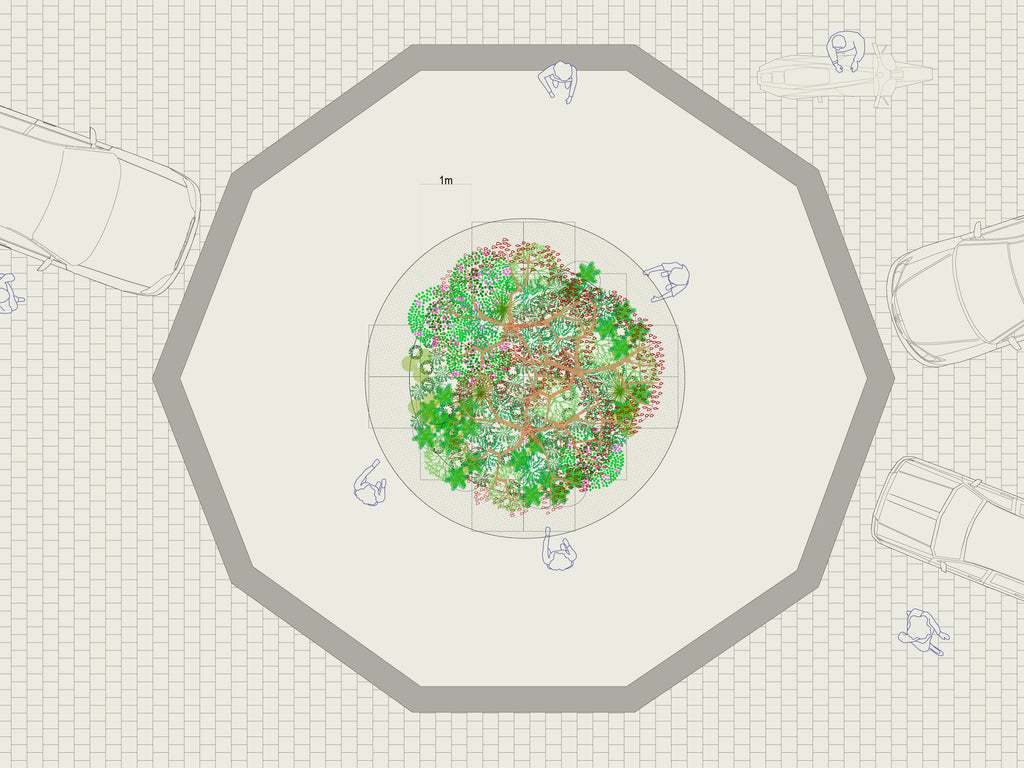 Plan Maestro Áreas Verdes Caleta Tortel