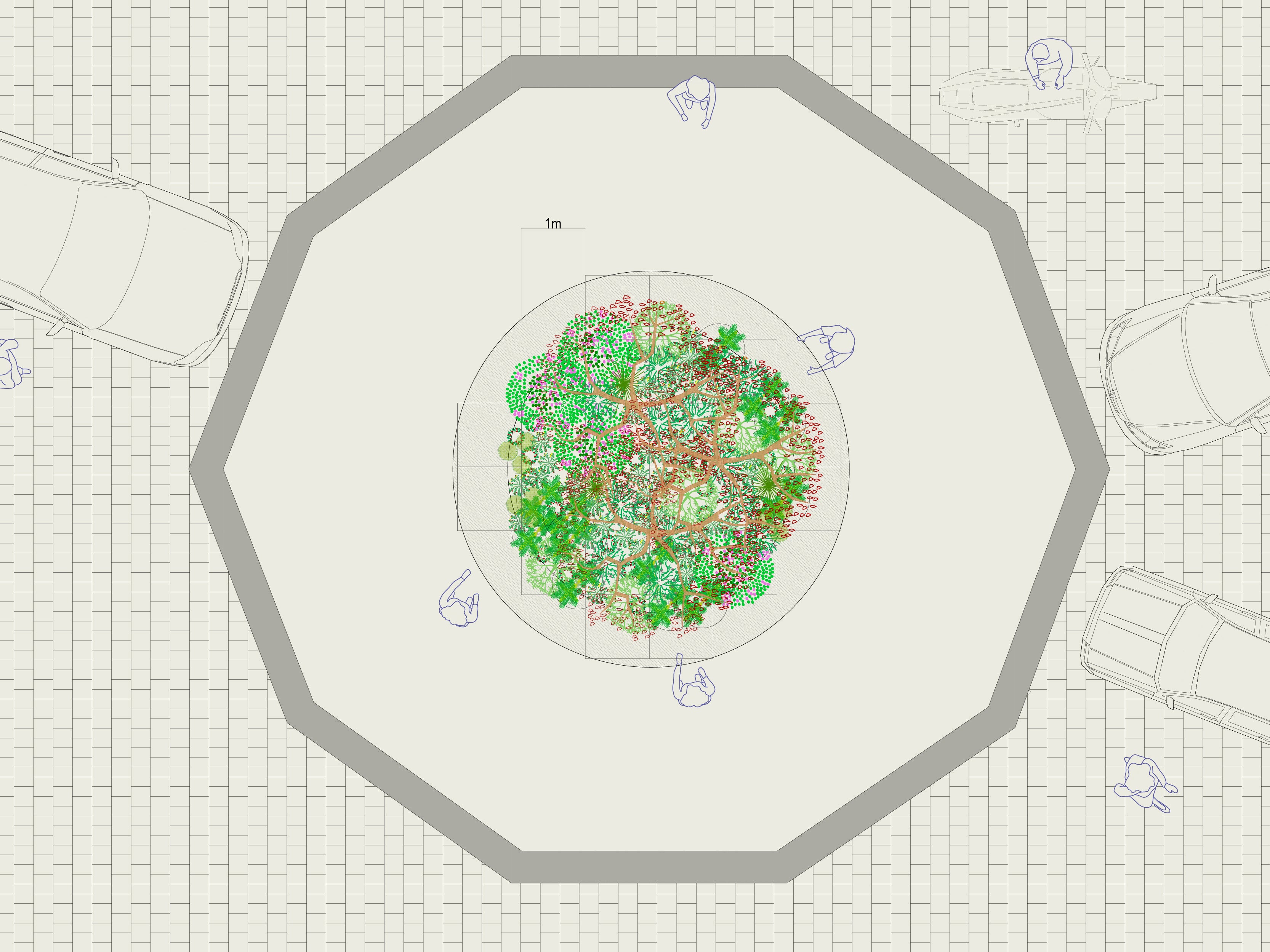 Plan Maestro Áreas Verdes Caleta Tortel