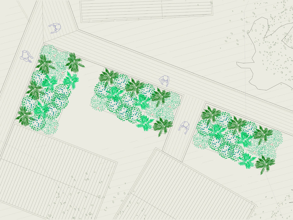 Plan Maestro Áreas Verdes Caleta Tortel