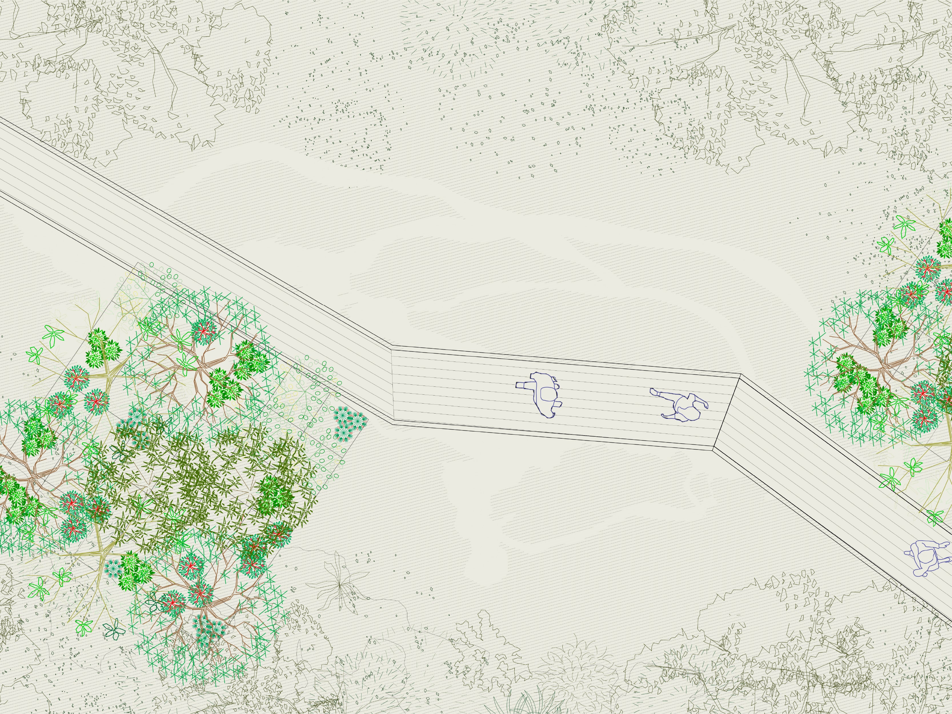 Plan Maestro Áreas Verdes Caleta Tortel