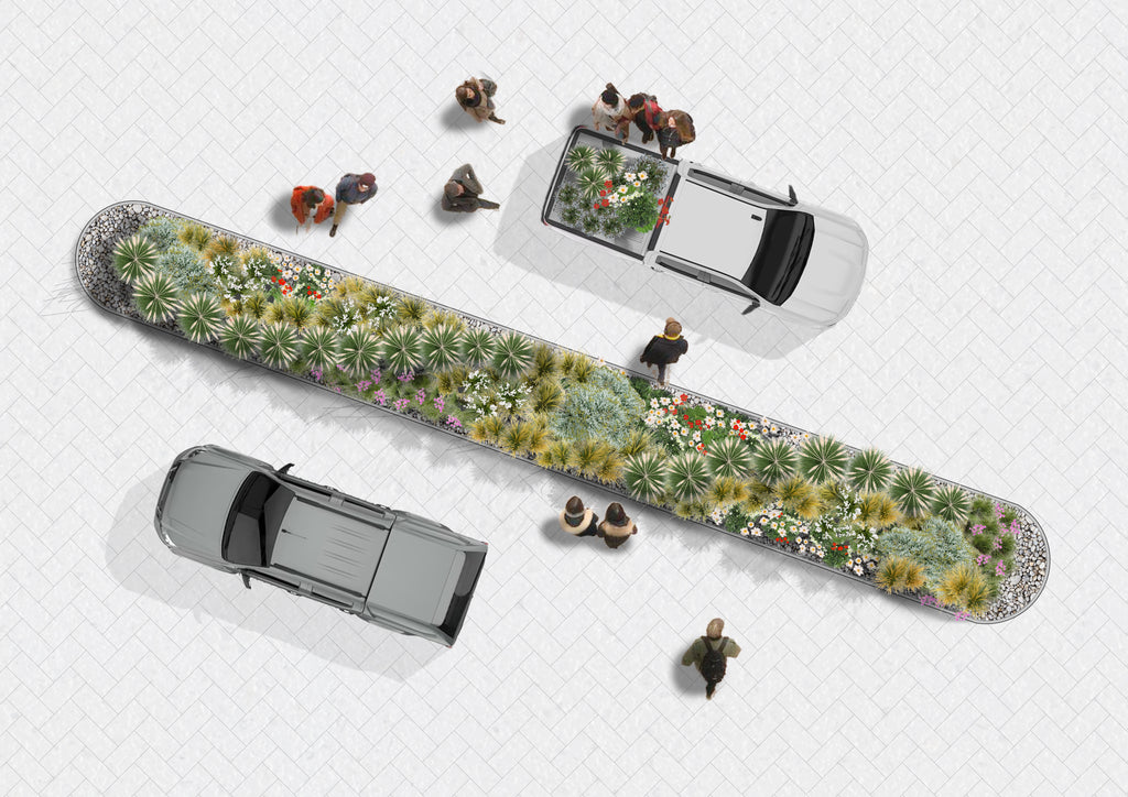 De Bandejón Urbano a Conector Ecológico