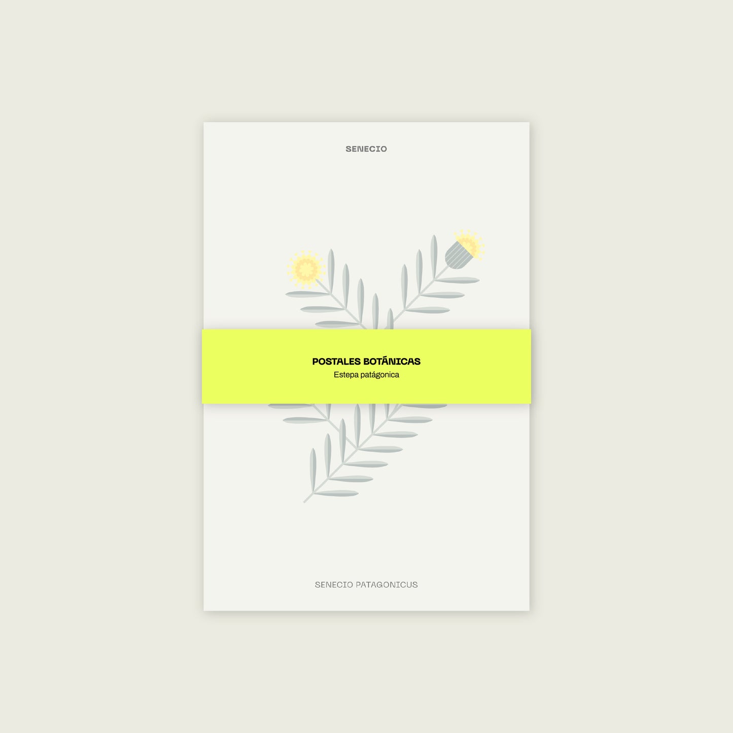 Set 10 Postales Botánicas