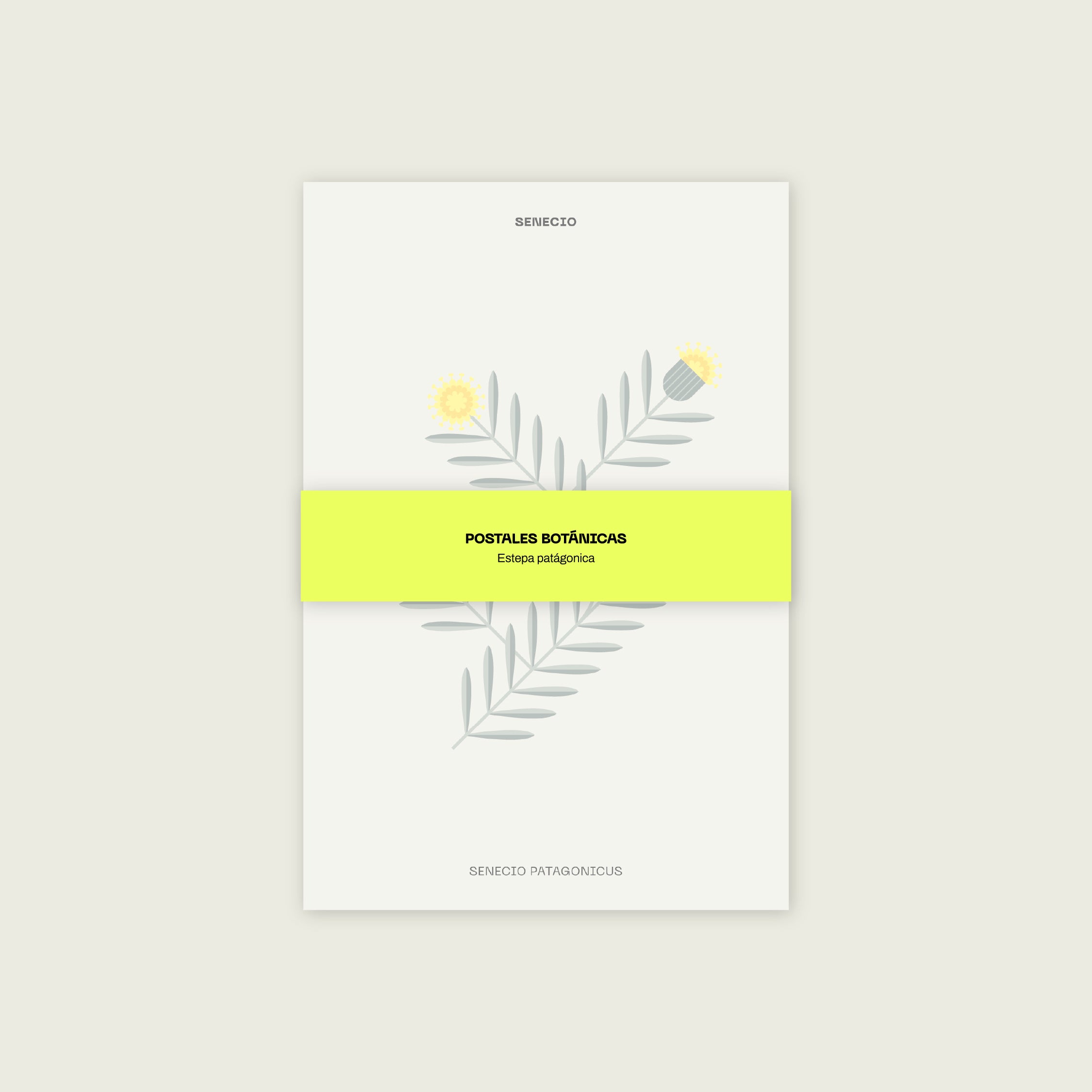 Set 10 Postales Botánicas