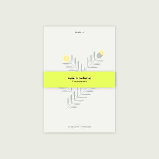Set 10 Postales Botánicas