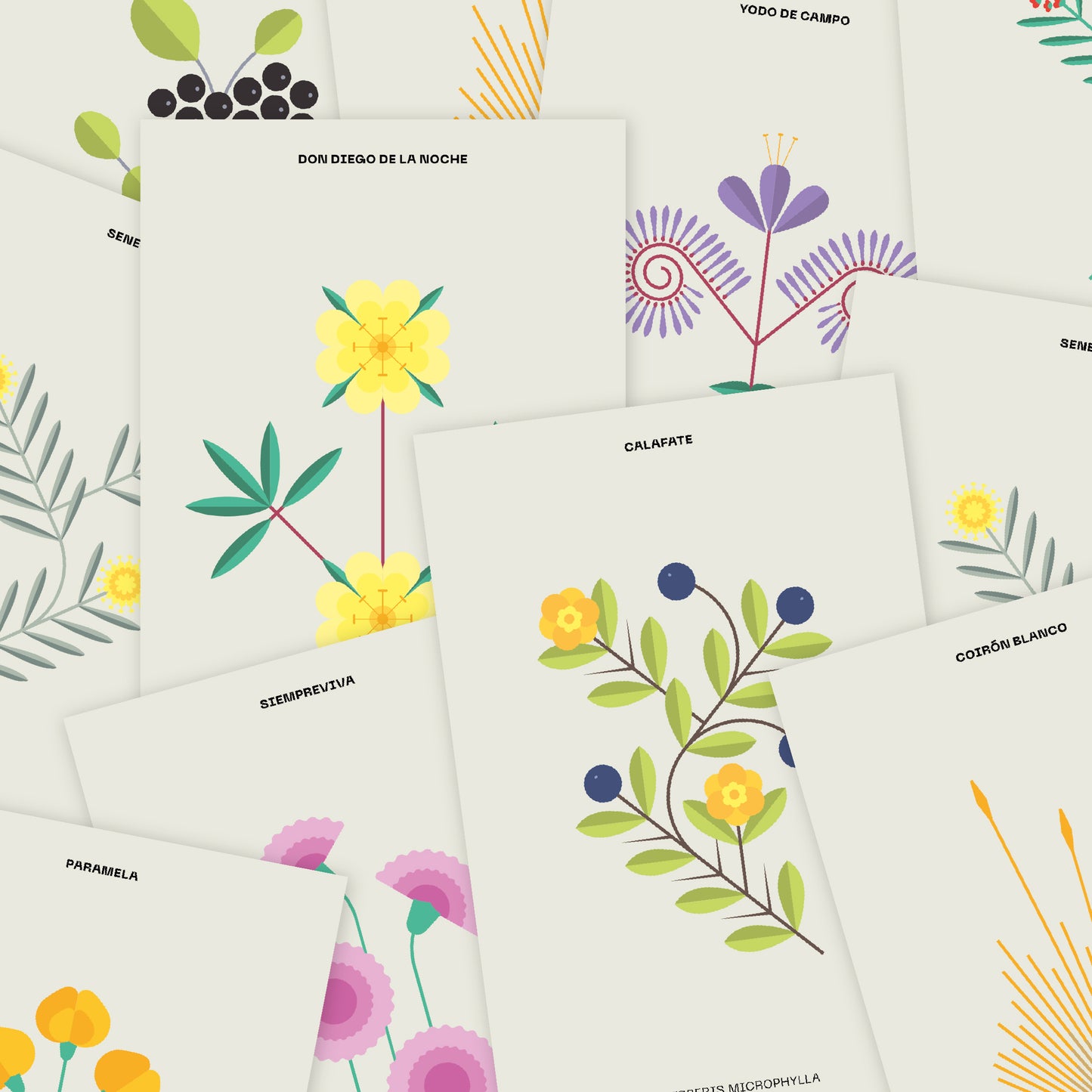 Set 10 Postales Botánicas