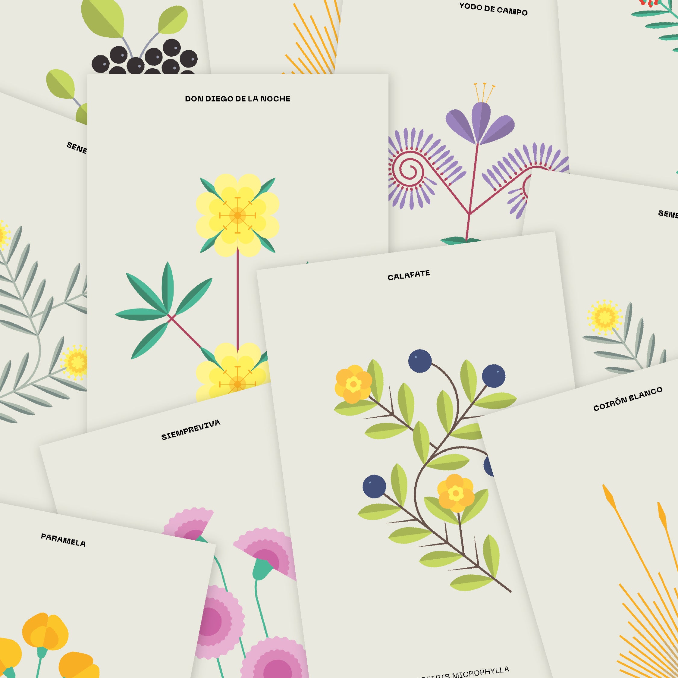 Set 10 Postales Botánicas