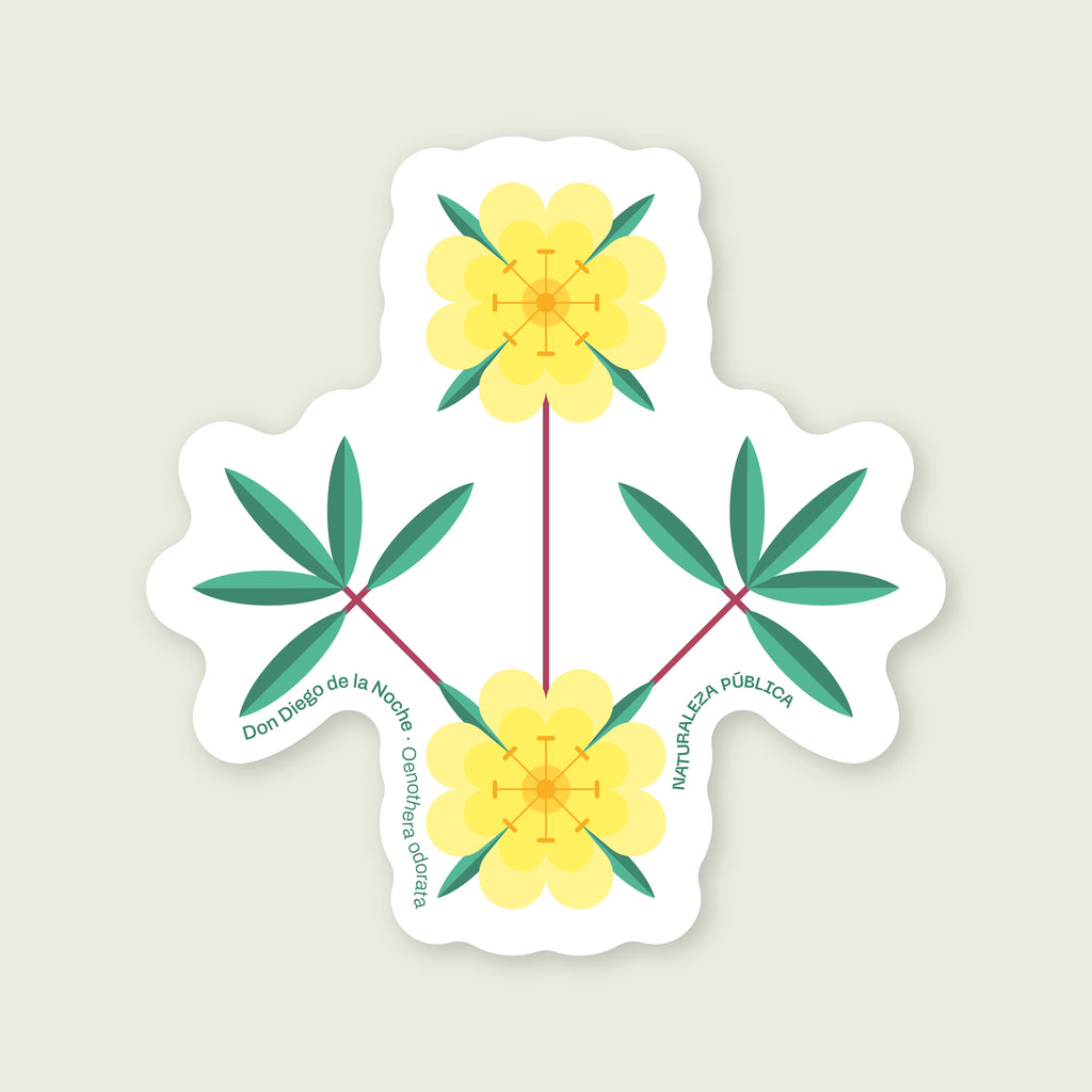 Sticker Flora Nativa — Don Diego