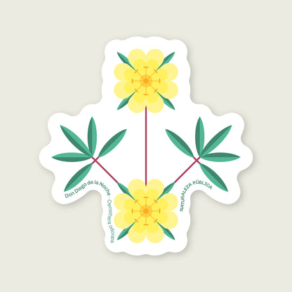 Sticker Flora Nativa — Don Diego