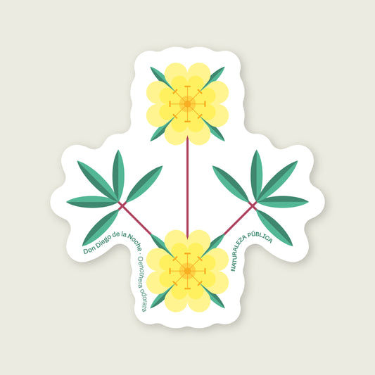 Sticker Flora Nativa — Don Diego