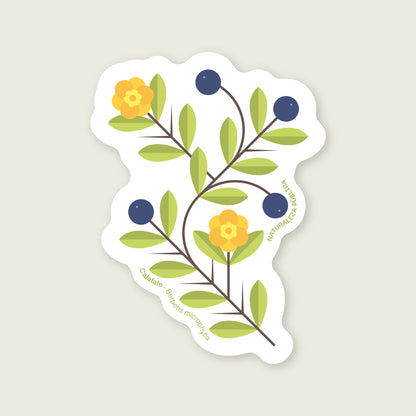 Sticker Flora Nativa — Calafate
