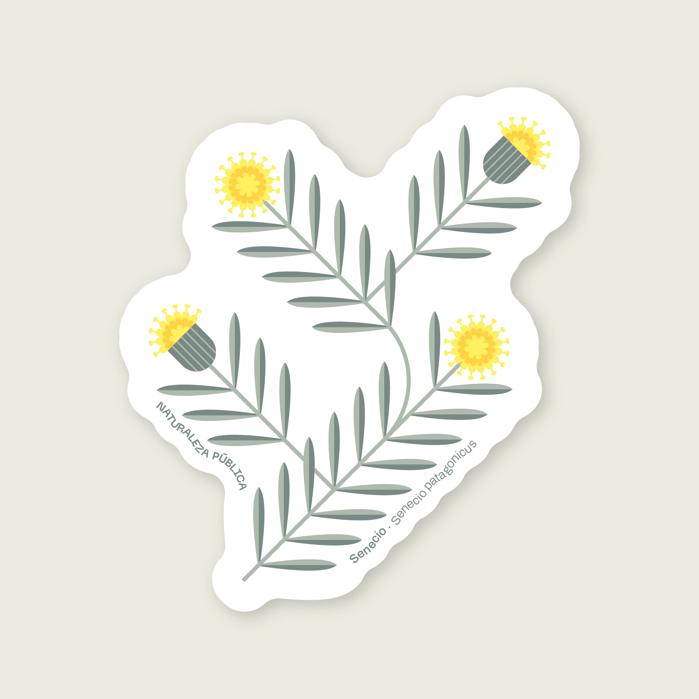 Sticker Flora Nativa — Senecio