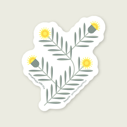 Sticker Flora Nativa — Senecio