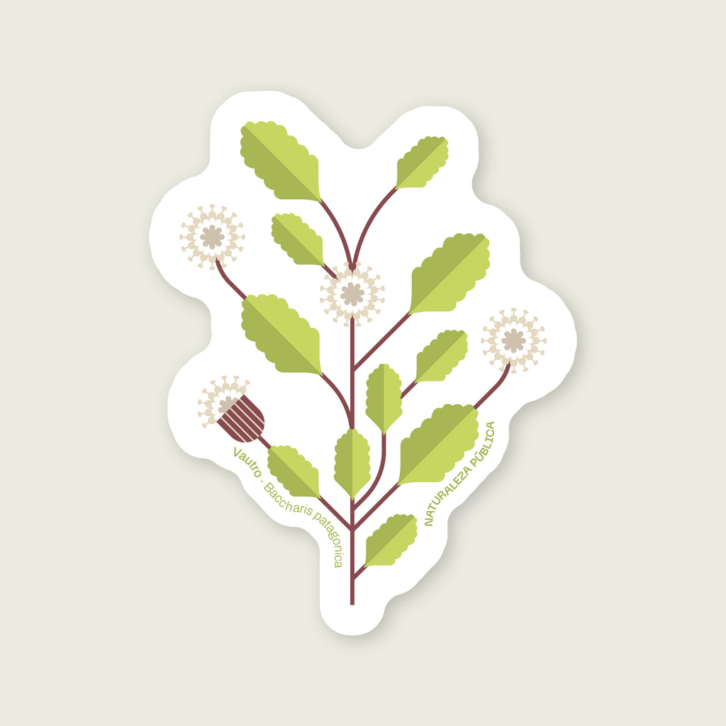 Sticker Flora Nativa — Vautro