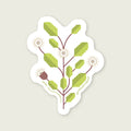 Sticker Flora Nativa — Vautro