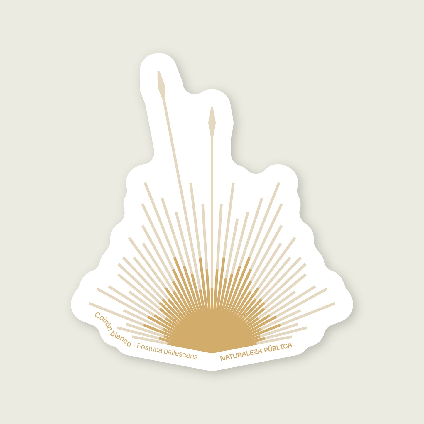 Sticker Flora Nativa — Coirón Blanco