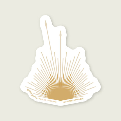 Sticker Flora Nativa — Coirón Blanco