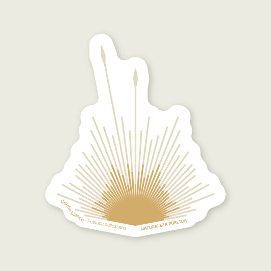 Sticker Flora Nativa — Coirón Blanco