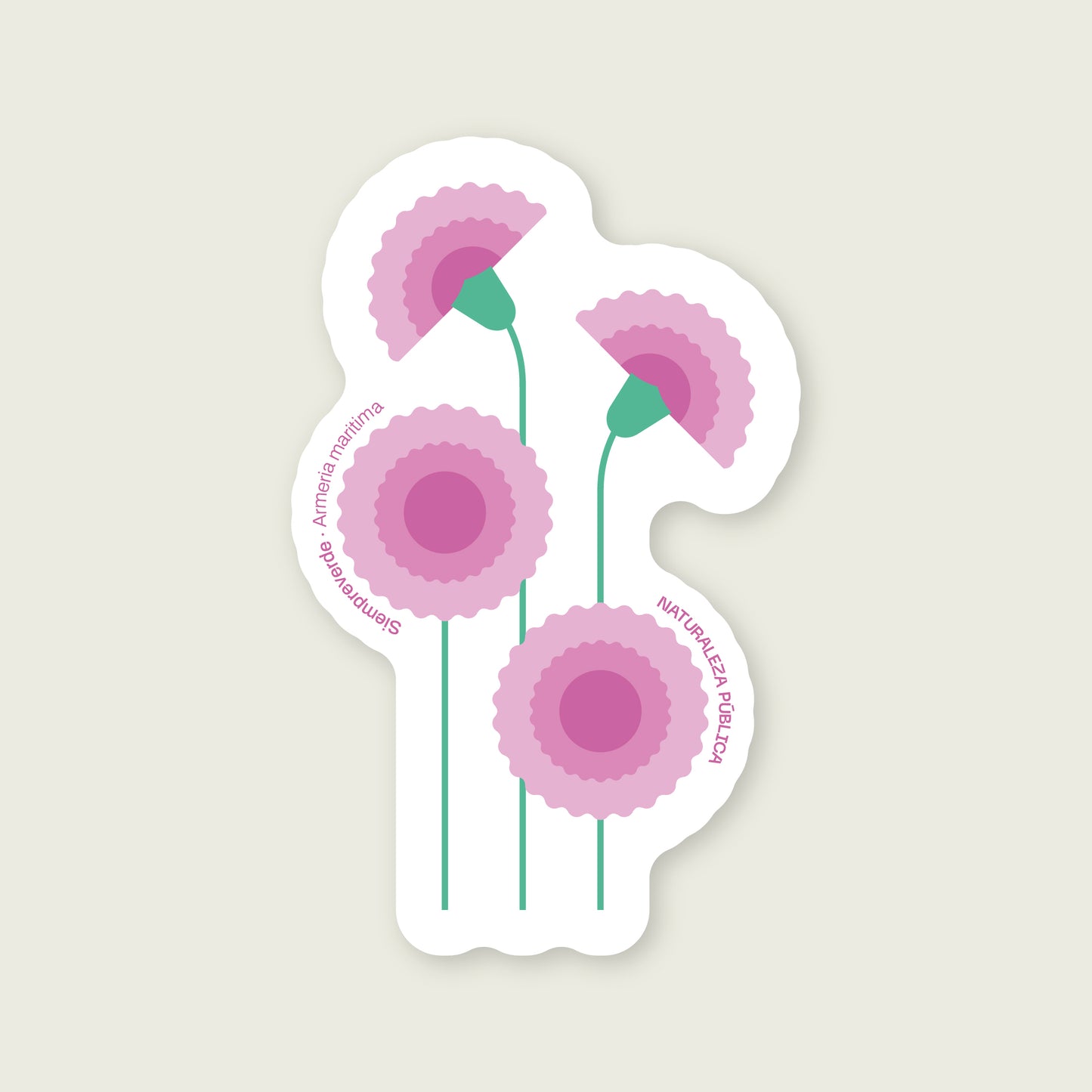 Sticker Flora Nativa — Siempreviva