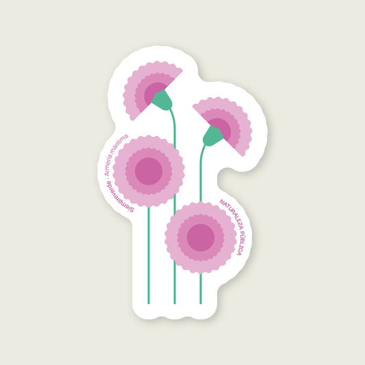 Sticker Flora Nativa — Siempreviva