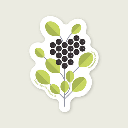 Sticker Flora Nativa — Laura