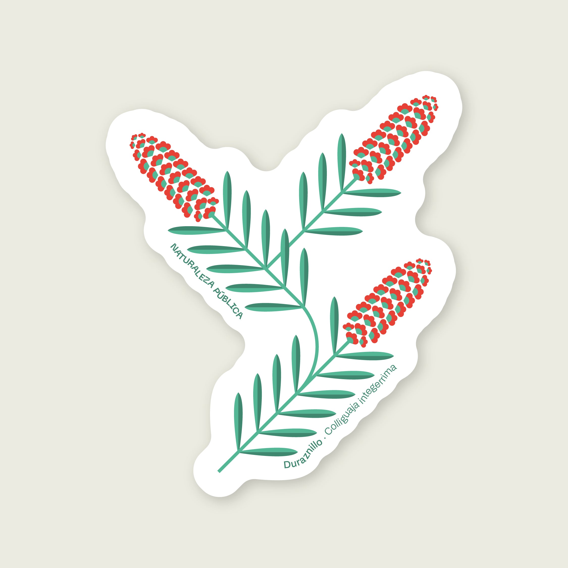Sticker Flora Nativa — Duraznillo