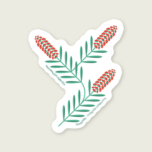 Sticker Flora Nativa — Duraznillo