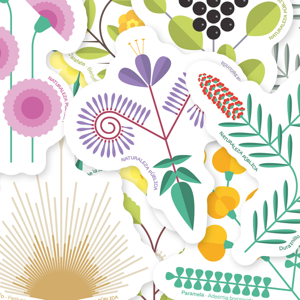 Set 10 Stickers Flora Nativa