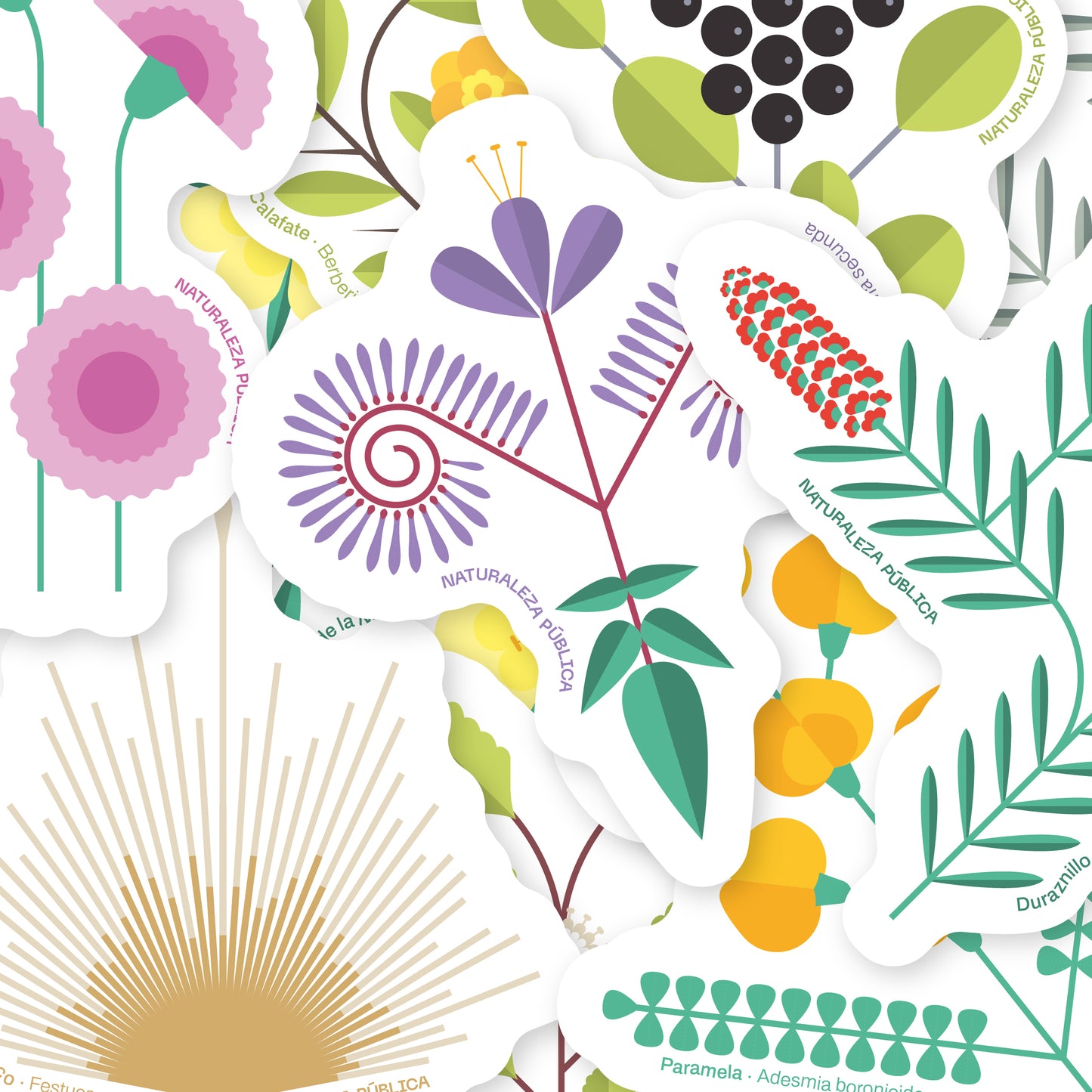 Set 10 Stickers Flora Nativa