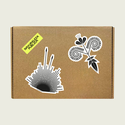 Cajita Guardián de la Estepa